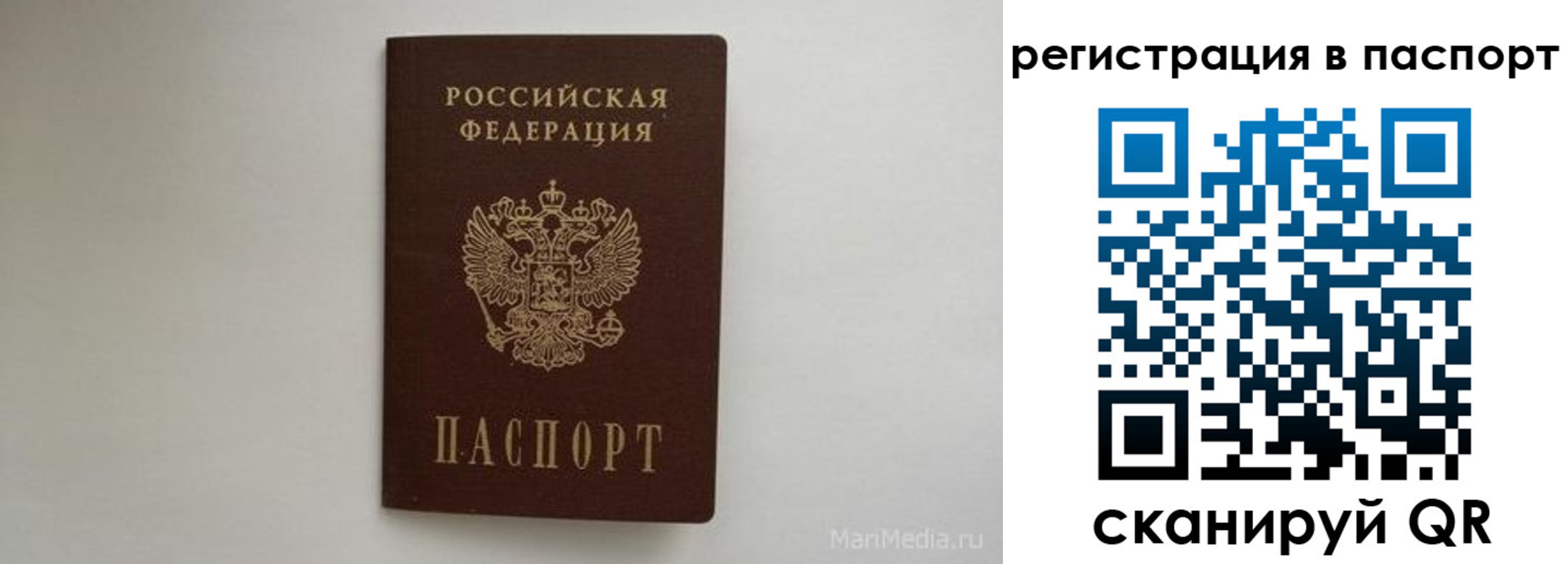 прописка в Мурманской области